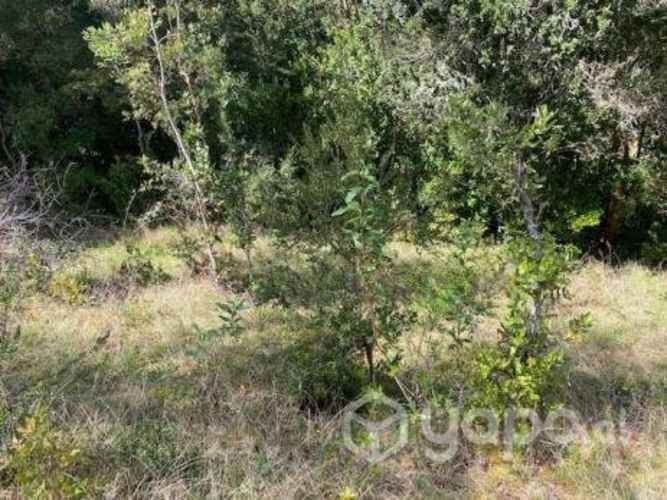 Linda Parcela condominio Los Arrayanes