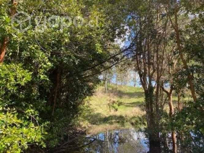 Linda Parcela condominio Los Arrayanes