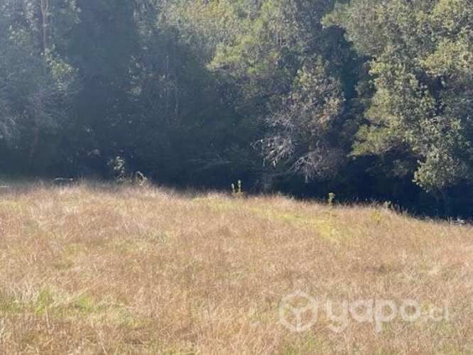 Linda Parcela condominio Los Arrayanes