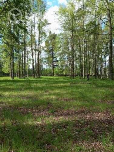 Hermosa parcela de 15.000m2