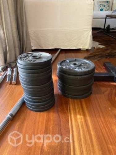 Discos y Barra de Mancuerna