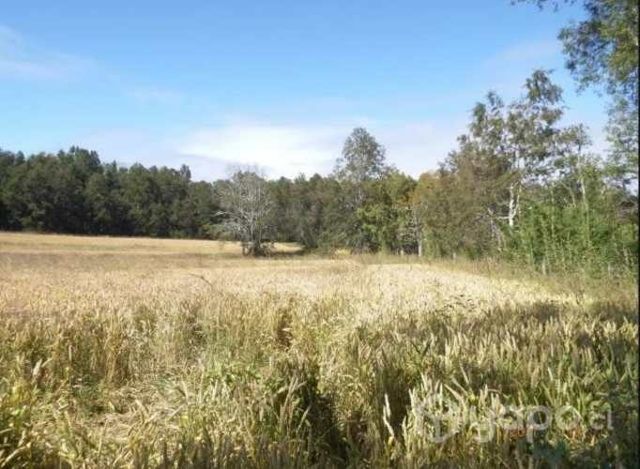Vendo Terreno En Cunco, Temuco
