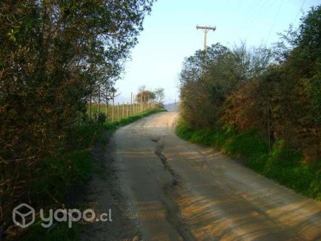 Parcela en Limache, plana, de 3,42 hectárea C-2222