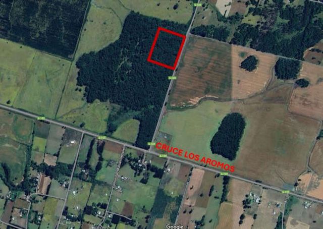 Medias hectareas cruce los aromos