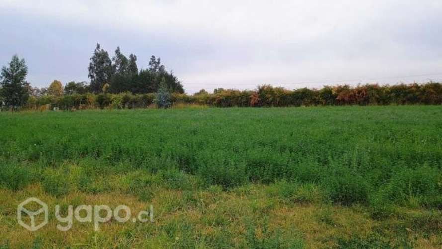 Parcela,las Delicias, Sector Codegua