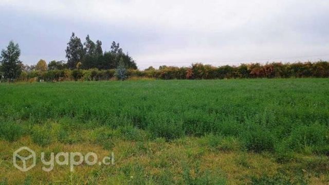 Parcela,las Delicias, Sector Codegua