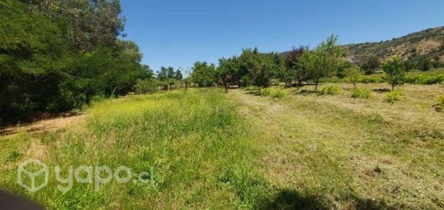 Trapiche parcela 1 hectarea