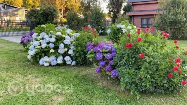 Comoda Cabaña en Chamiza