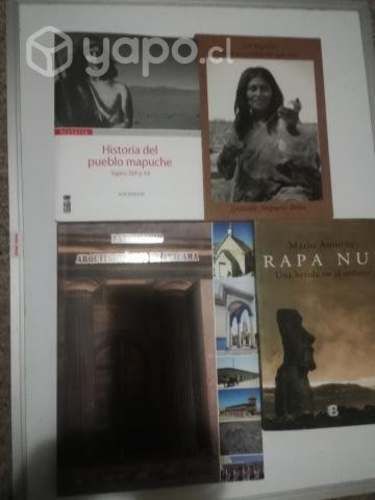 43 historia pueblos originarios chile y otros