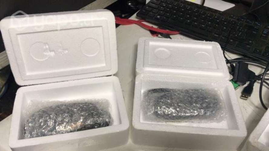 Sensor de Oxigeno para AUDI A4