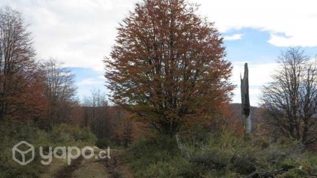 Patagonia, Hermoso terreno, alto Villa Tapera
