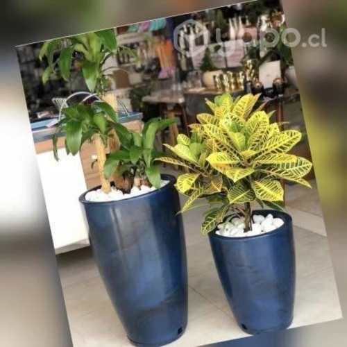 Lindas macetas de polietileno de distintos tamaños