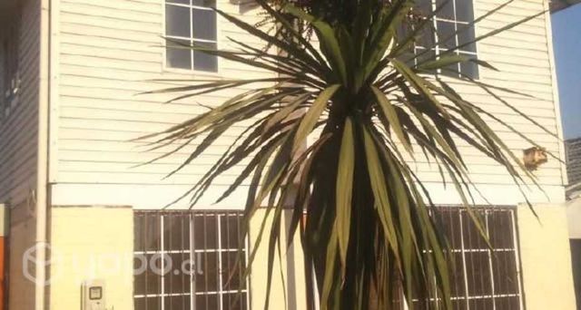 casa Santa MAría de Maipú Maipú