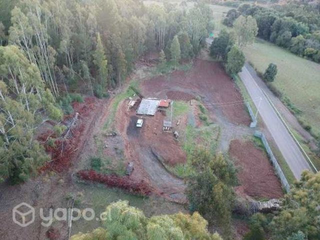 Pardela a 4.5 km de cholchol