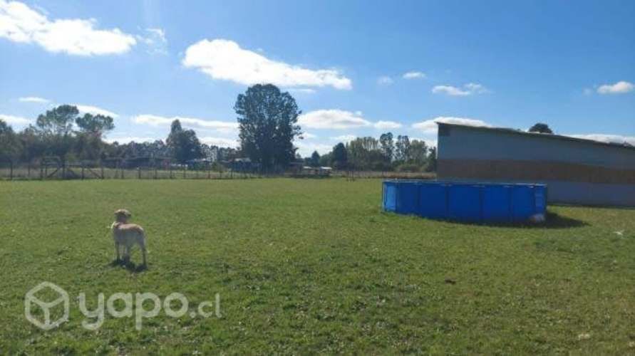 Se vende parcela 74.000.000 ubicada a 7km camino