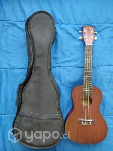 Ukelele makala concierto + funda