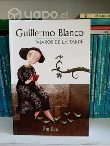 Pájaros de la Tarde - Guillermo Blanco