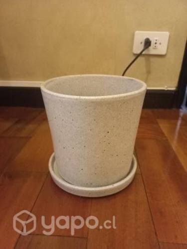 Macetero nuevo