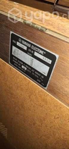 Organo Yamaha b-35nf