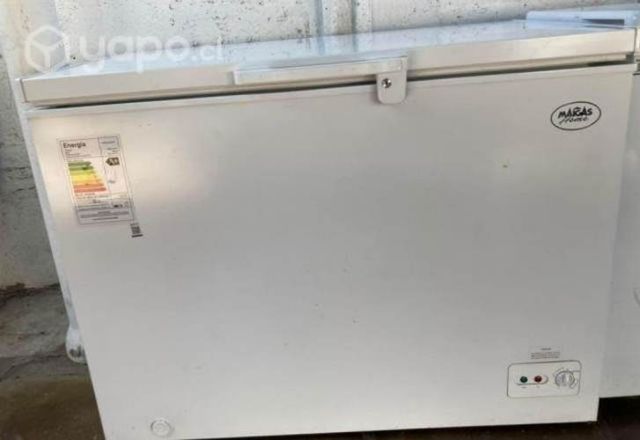 Congeladora maigas 295 litros semi nueva