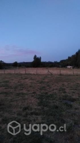 Terrenos en cauquenes Quella norte 5000 metros