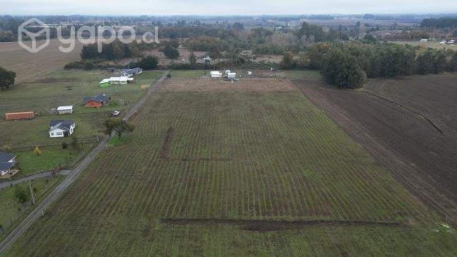 Se vende casa y predio