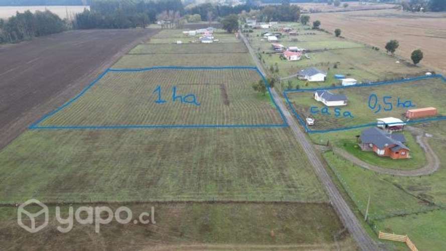 Se vende casa y predio