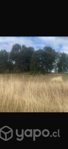 Parcela en Tegualda 5000 mts