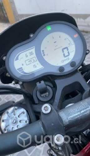 Benelli Leoncino 500 trail