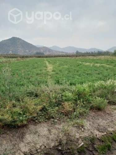 Parcela 5000 mt2, Fundo La Ramirana