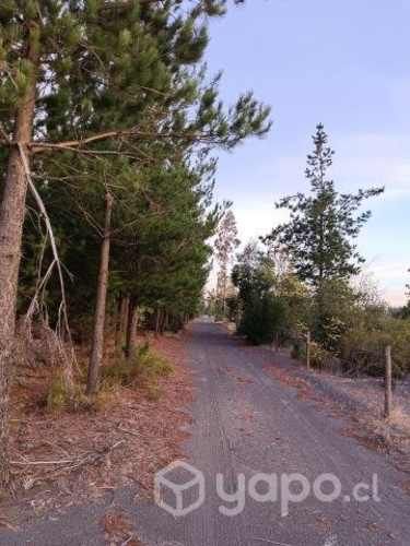 Se vende terreno en Los Angeles sector Pedregal