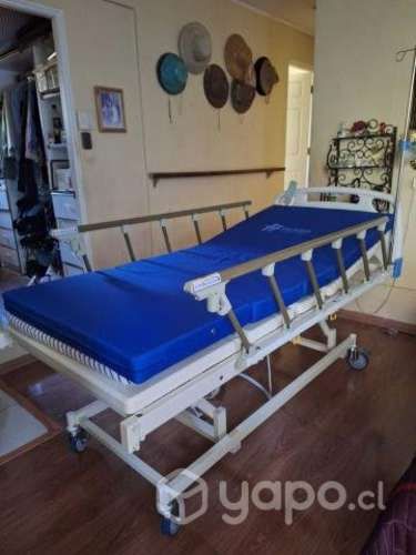 Cama clinica electrica 3 posiciones