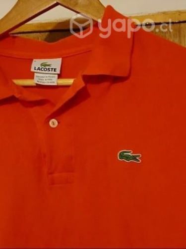 Polera lacoste original