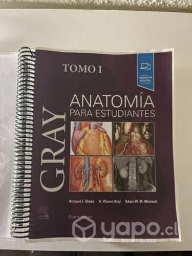 Anatomia para estudiantes GRAY, MOORE, NETTER