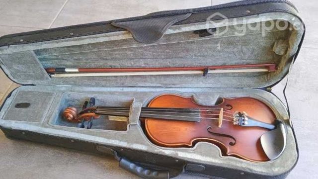 Violin