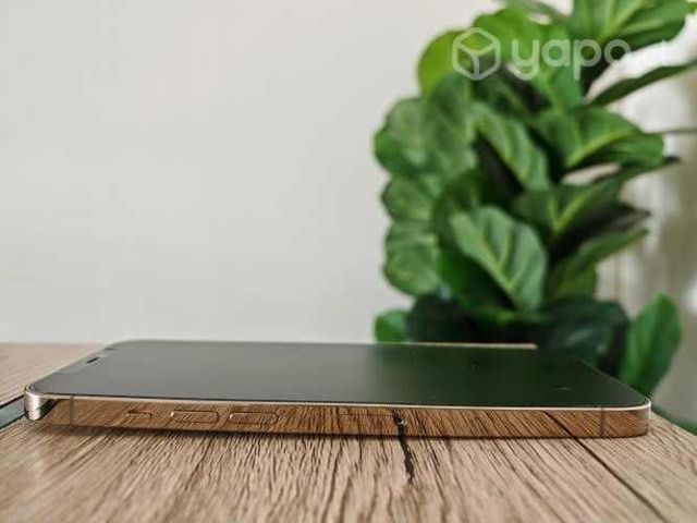 IPhone 12 Pro Max Dorado 128GB