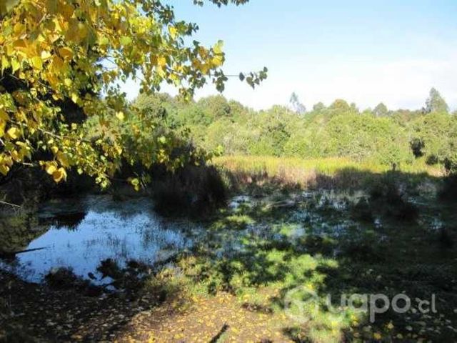 Bella parcela vecina al aeropuerto de Valdivia