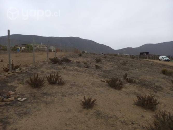 Terreno arrayan costero