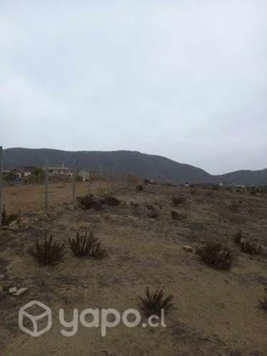 Terreno arrayan costero