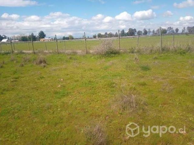 Se vende Parcela (5000 m2) Parral