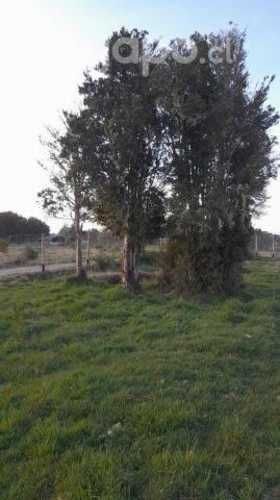 Parcela con hermosa vista ANCUD sector Puntra