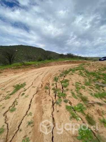 Hermoso terreno 5000m2