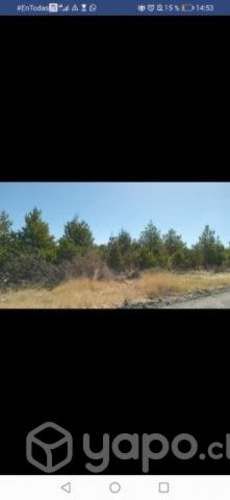 Vendo parcela de 5000 mts