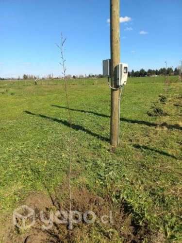 Venta parcela camino el peral