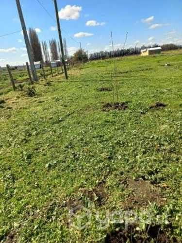 Venta parcela camino el peral