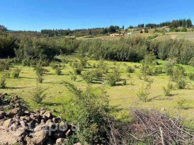 Vendo 2 parcelas con rol propio