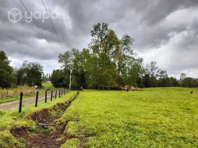Parcela 5.000mts Osorno Lago Rupanco urbanizada