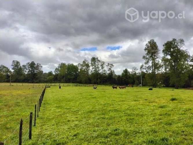 Parcela 5.000mts Osorno Lago Rupanco urbanizada