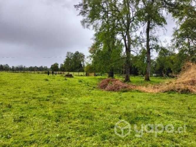 Parcela 5.000mts Osorno Lago Rupanco urbanizada