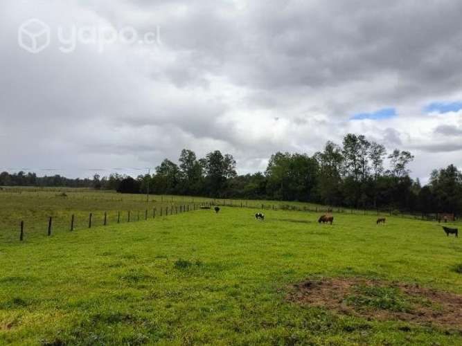Parcela 5.000mts Osorno Lago Rupanco urbanizada